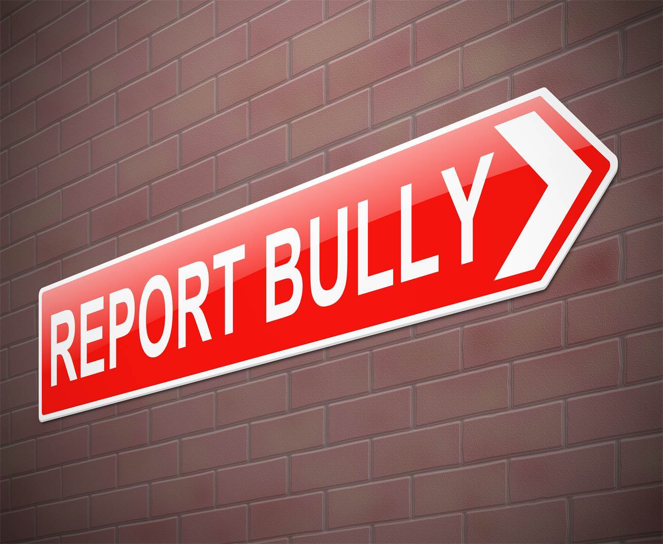 HWCDSB Anonymous Bullying Reporting Tool