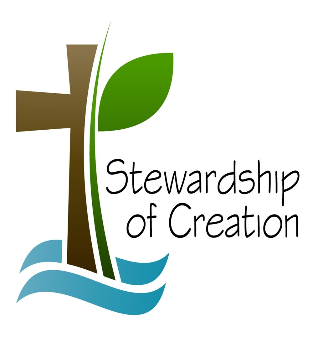 Stewardship of Creation 